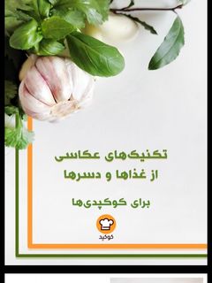 عکسی از دستور هدیه چالش کوک اسنپ 🎊