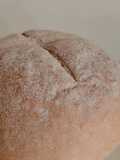 Pan de campo