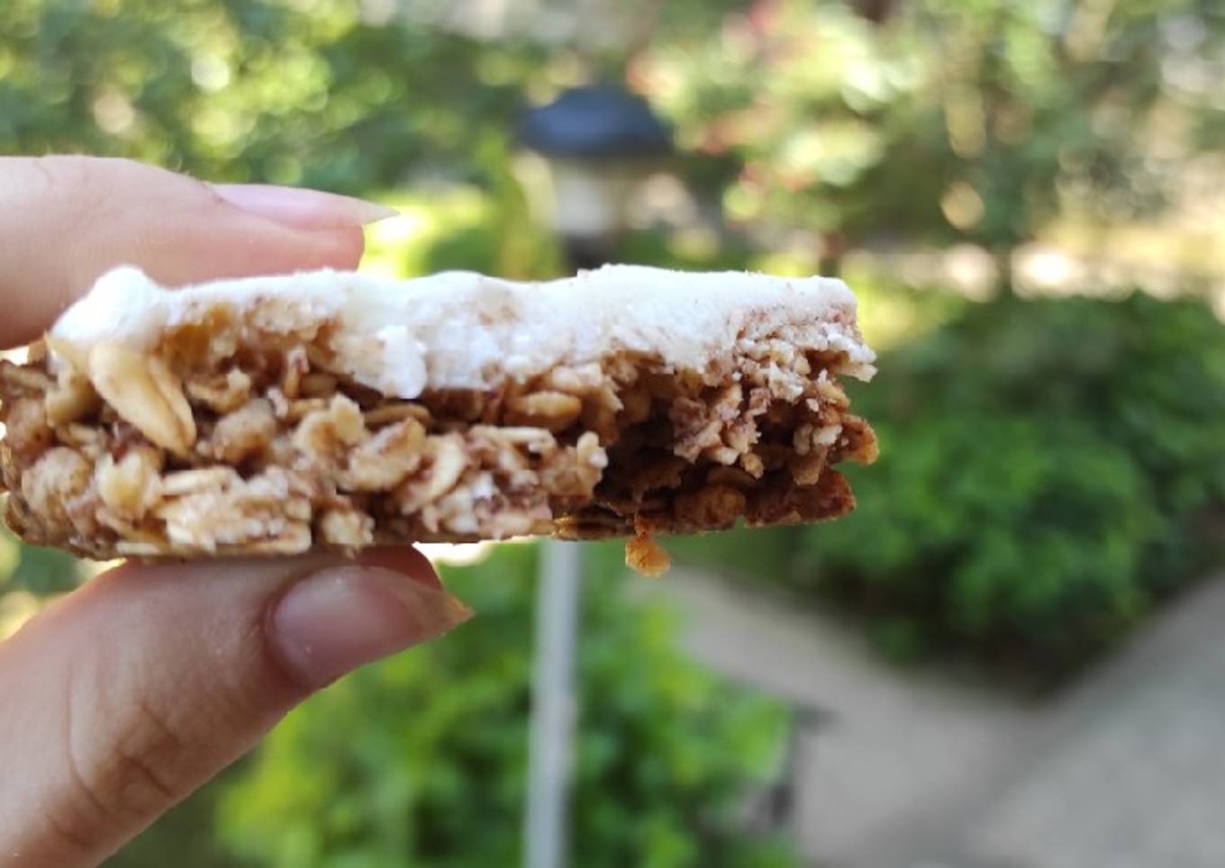 Barritas frías de avena y granola con cobertura de yogur