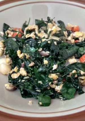 Foto resep Sayur daun katu