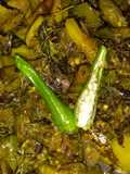 নিম বেগুন ছেচকি(neem begun chenchki recipe in Bengali)