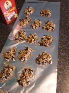 A picture of Oatmeal Raisin No-Bake Cookies.