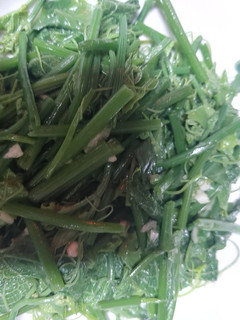涼拌龍鬚菜 的食譜成品照片
