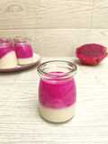 Puding Buah Naga