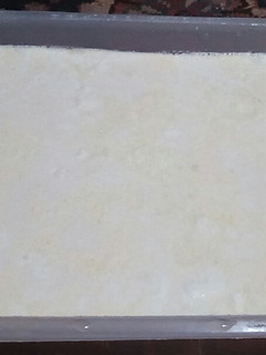 عکسی از دستور ماست خونگی