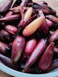 Piñones cocidos en olla a presión