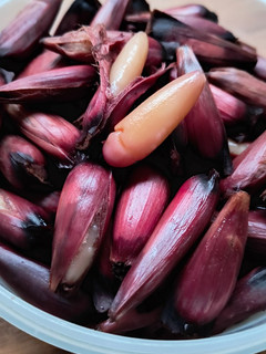 Una foto de Piñones cocidos en olla a presión