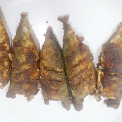 A picture of Small Baby Bangde Fry.
