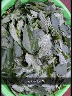 صورة لوصفة تفريز الملوخية