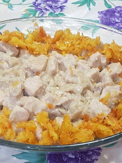 عکسی از دستور چیکن استراگانف