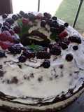 Torta de Chocolate con Mix de Frutos Rojos👌😋