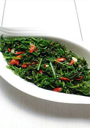 Foto resep Tumis Praktis Sayur Pakis