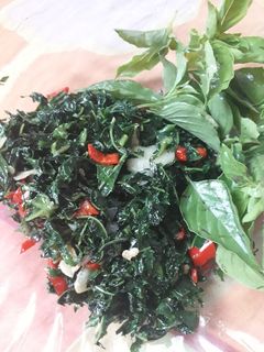 Foto resep Oseng daun pepaya jepang