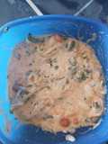 Cabbage Salad Raita