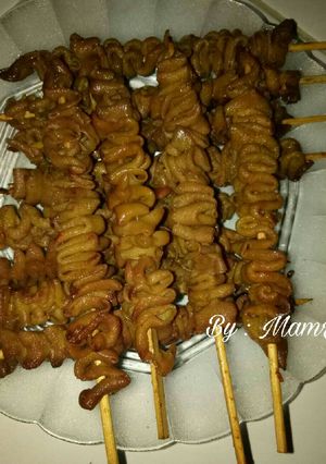Foto resep Sate Usus Ayam