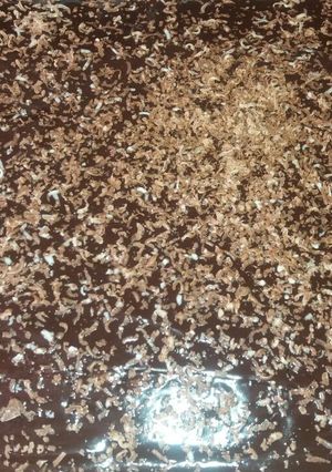 صورة لوصفة كيكة الدانون والشوكولا 🍫🍫🍫