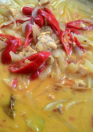 Foto resep Sayur manisah/labu siem,untuk kuah ketupat lontong