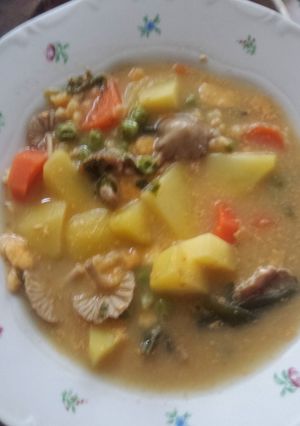 Friss gomba leves recept fotója