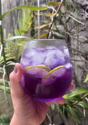 Foto resep Butterfly Pea Lemon Tea