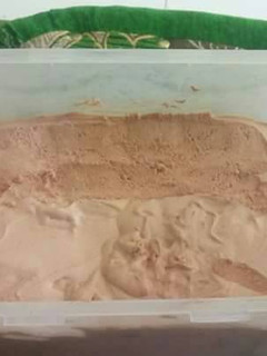 Foto resep Ice cream simple enak