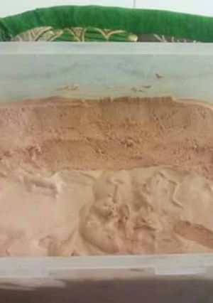 Foto resep Ice cream simple enak