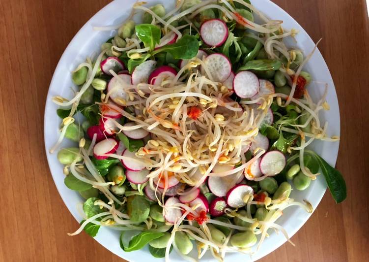 Insalata di fave con germogli di soia