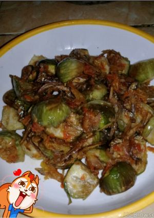 Foto resep Sambal teri terong bulat