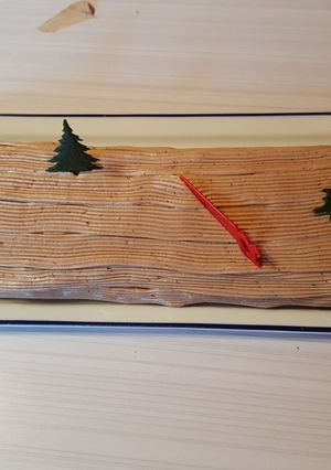 Une photo de Bûche chocolat praliné