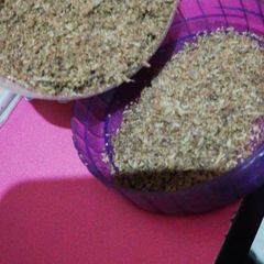 Jeera powder A picture of Jeera powder.