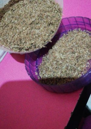 A picture of Jeera powder.