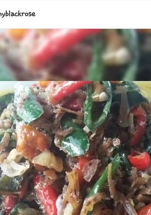 Foto resep Tumis Teri warna warni 😁