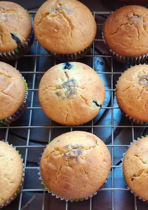 Una foto de Muffin de Arándanos