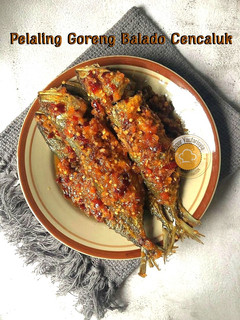 Gambar Pelaling Goreng Balado Cencaluk