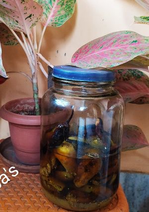আমের তেল-আচার(amer tel achar recipe in Bengali) রেসিপির প্রধান ছবি