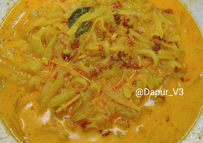 Standar Resep membuat Sayur labu siam kuah santan dijamin sempurna