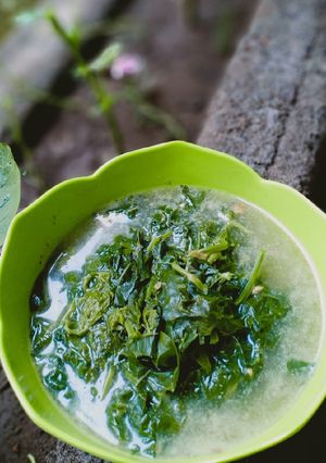 Foto resep Sayur Mbayung Santen