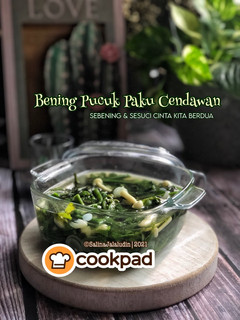 Gambar Bening Pucuk Paku Cendawan