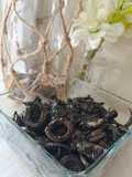 Cumi Hitam
