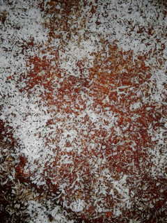 Una foto de Budín de pan con coco rallado