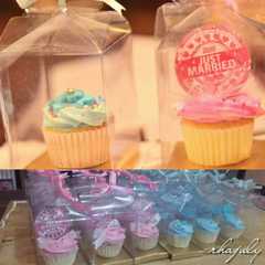 A picture of Cupcake rose.