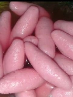 பன்னீர் ஜாமுன் (Paneer jamun recipe in tamil) செய்முறை முக்கிய புகைப்படம்