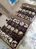 Brownies panggang