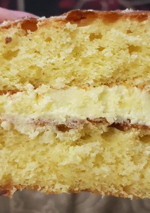 A picture of Lime sponge cake.
