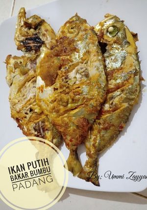 Foto resep Ikan Putih bakar Bumbu Padang