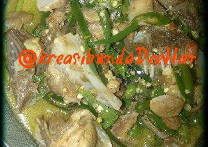  Resep Ikan pari santan cabe ijo oleh Bunda Deehan Cookpad