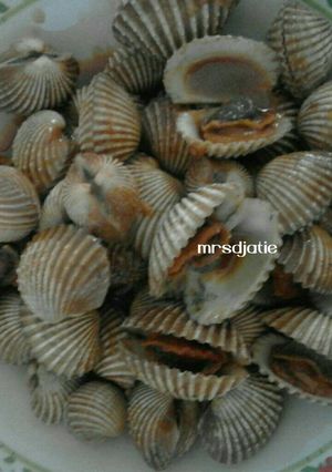 Foto resep Kerang Goreng Khas Kota Wali