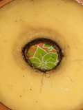 Chocoflan