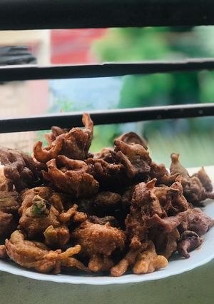A picture of Pakoray.