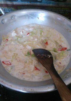 Foto resep Lodeh Sawi Putih Sederhana