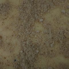 A picture of Vanilla custard with Marie biscuits.